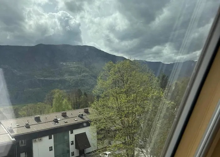 Cosy Nest Apartment *