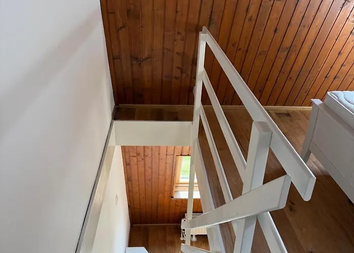 Cosy Nest بوويتش